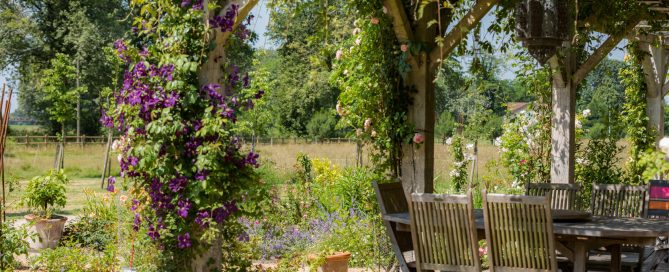 inspiration-landes-jardin-paysagiste-g-despagnet