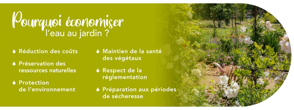 Economiser l'eau au jardin