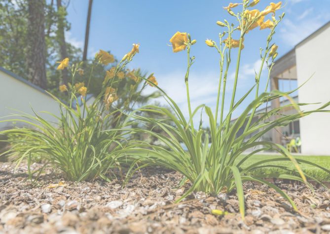 Economies d'eau au jardin