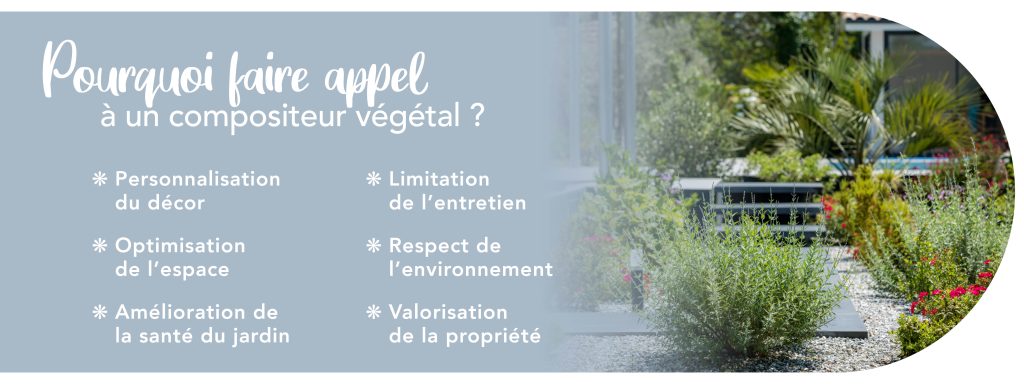g-despagnet-compositeur-vegetal-jardin-paysagiste-landes