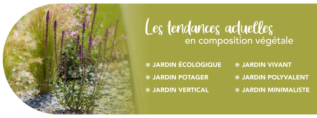 Despagnet-paysagiste-compositeur-vegetal-landes