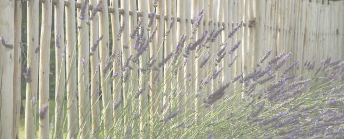 g-despagnet-clotures-jardins-landes