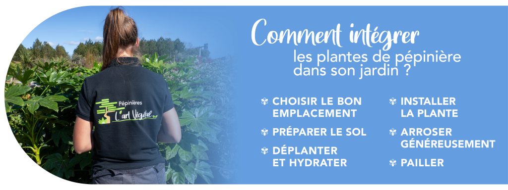 pepinieriste-landes-gdespagnet-vegetaux