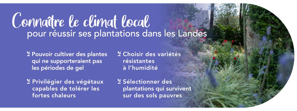 g-despagnet-paysagiste-pepinieriste-landes-plantations-vegetaux