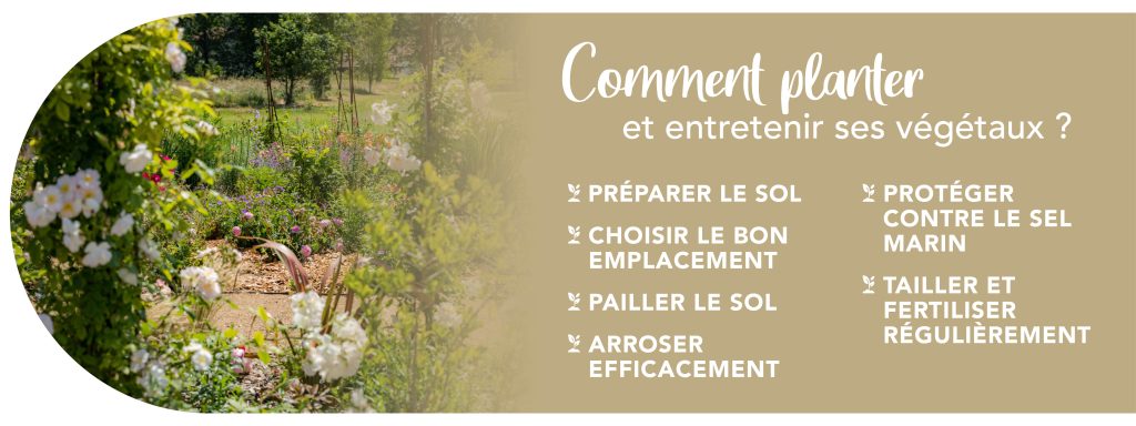 g-despagnet-paysagiste-pepinieriste-landes-plantations-vegetaux