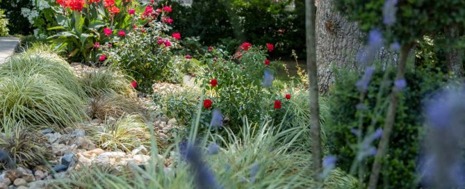 g-despagnet-paysagiste-pepinieriste-landes-plantations-vegetaux