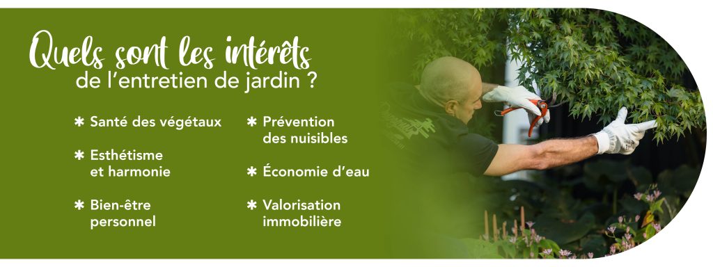 entretien-jardin-landes-paysagiste-jardinier-g-despagnet